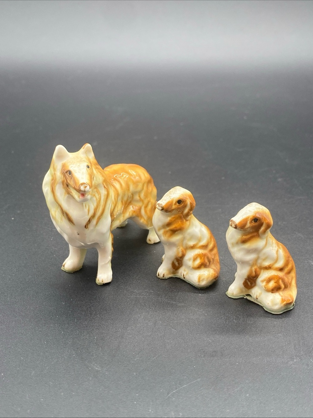 Miniature Collie Dogs Set of three